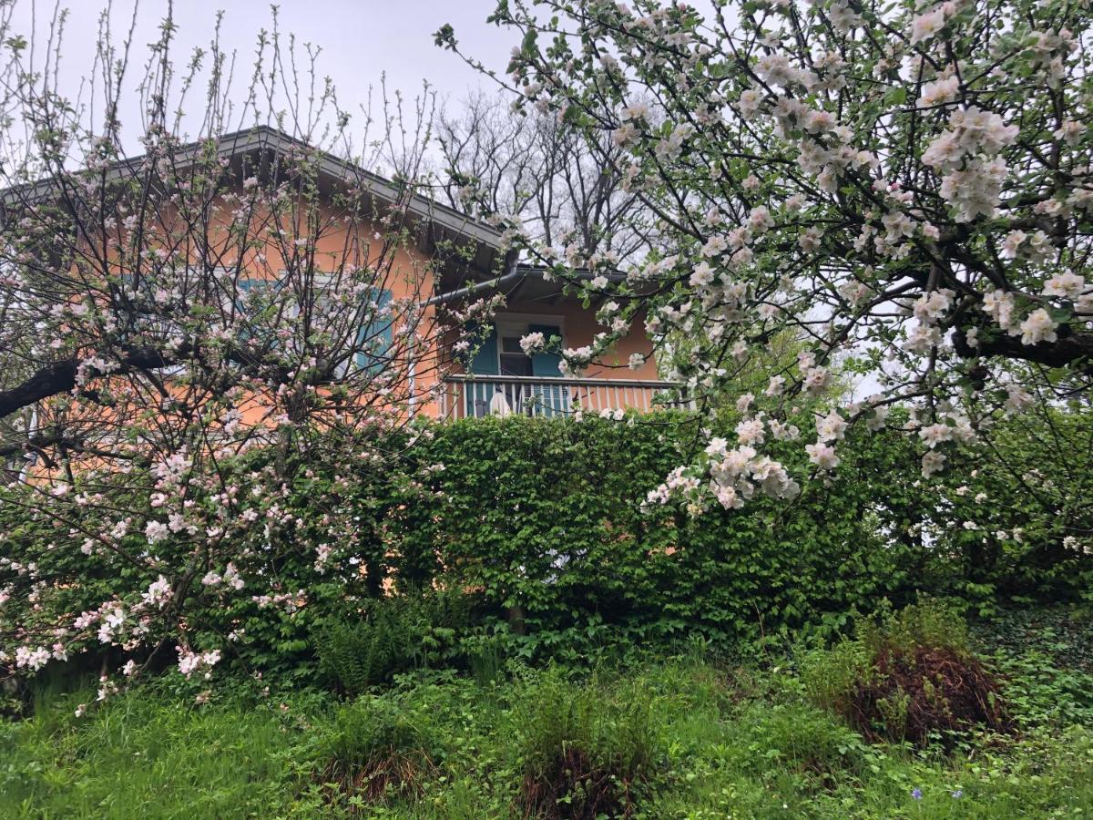 Ferienhaus Eisenach Zewnętrze zdjęcie
